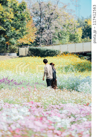 コスモス畑とデートするカップル 117412563