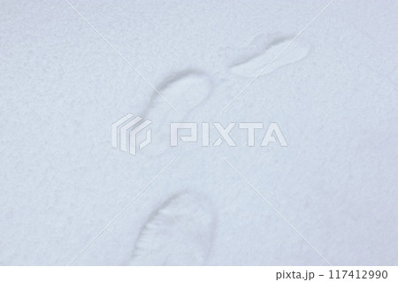雪の上を歩く足跡 雪の上を歩く足跡 117412990