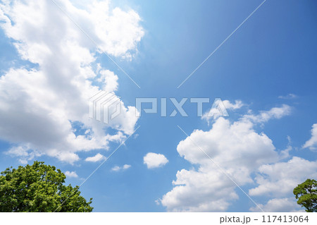 夏の雲と木立 117413064