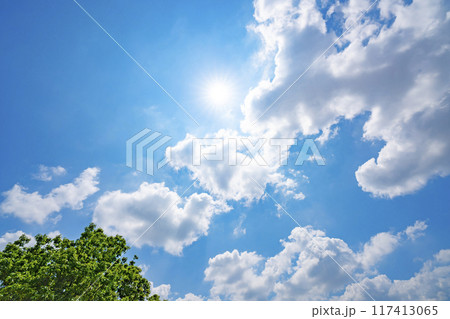 夏の雲と木立と太陽 117413065