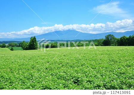 海別岳とジャガイモ畑 117413091