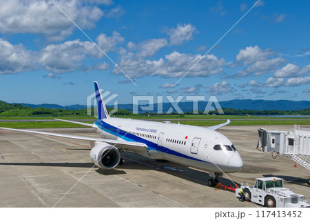 滑走路に向かう飛行機 滑走路に向かう飛行機 117413452