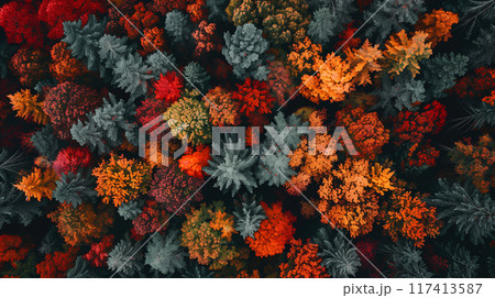 Top view of a forest in the Autumn season. Red, orange and green color tone. AI generated. Top view of a forest in the Autumn season. Red, orange and green color tone. AI generated. 117413587
