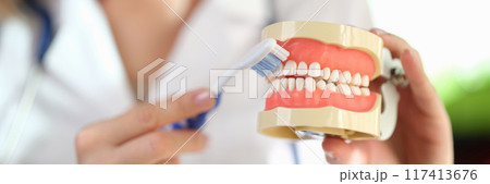 Doctor stomatologist showing how to brush teeth properly Doctor stomatologist showing how to brush teeth properly 117413676