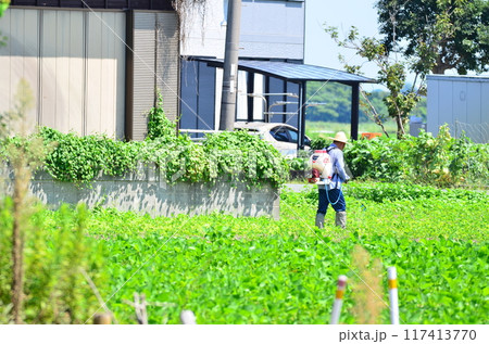 田畑を耕す農夫 田畑を耕す農夫 117413770