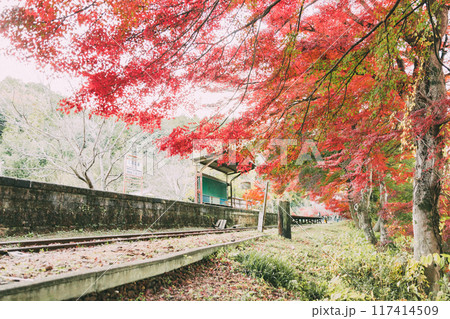 三河広瀬駅の紅葉 117414509