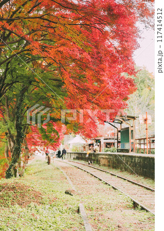 三河広瀬駅の紅葉 三河広瀬駅の紅葉 117414512