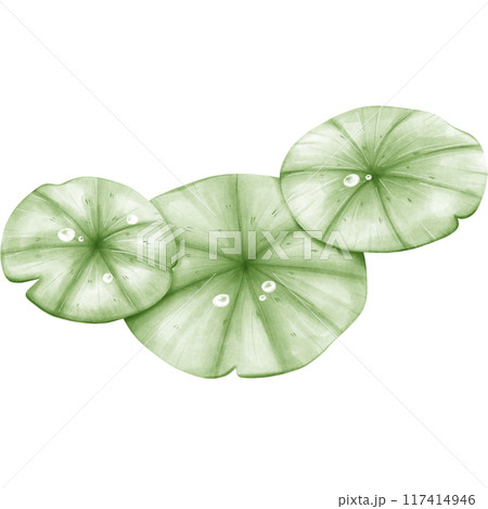 Wetlands clipart Png 117414946