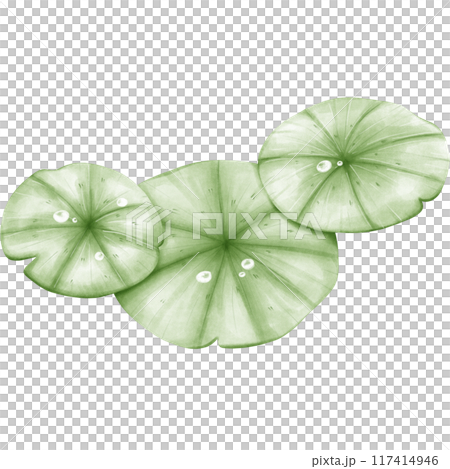 Wetlands clipart Png 117414946