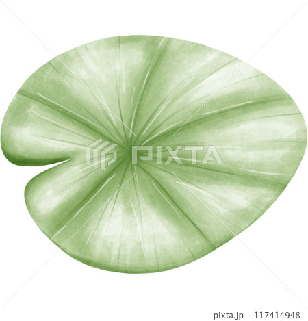Wetlands clipart Png 117414948