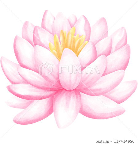 Wetlands clipart Png 117414950