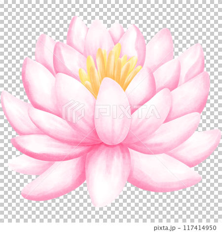 Wetlands clipart Png 117414950