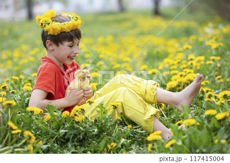 Happy boy in dandelions with ducklings.Child in a summer meadow. Happy boy in dandelions with ducklings.Child in a summer meadow. 117415004