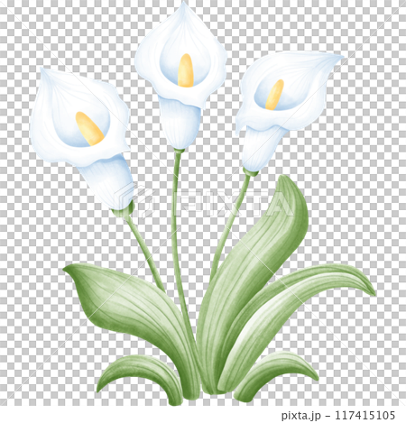 Wetlands clipart Png Wetlands clipart Png 117415105