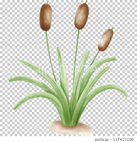 Wetlands clipart Png Wetlands clipart Png 117415106
