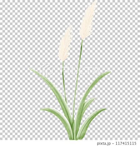 Wetlands clipart Png 117415115