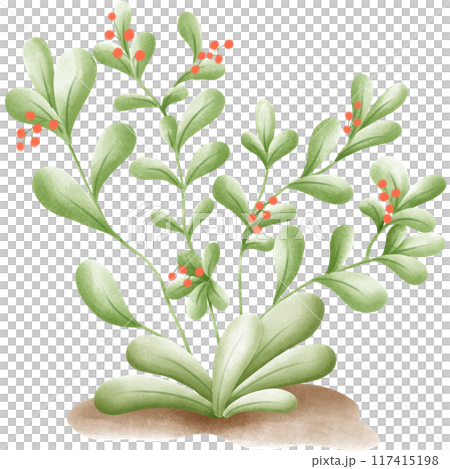 Wetlands clipart Png Wetlands clipart Png 117415198