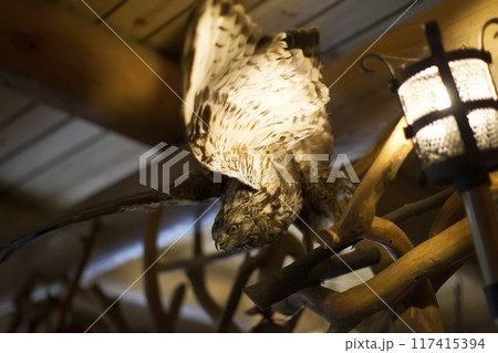 Stuffed eagle of the ravenous bird Stuffed eagle of the ravenous bird 117415394