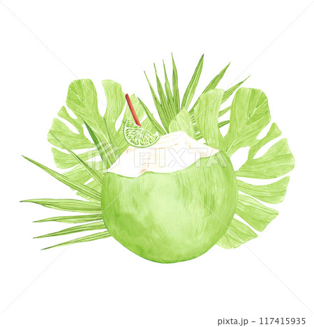 Hand drawn watercolor tropical green coconut cocktail with lime and leaves isolated on white background. Can be used for post card, label, scrapbook and other printed products. 117415935