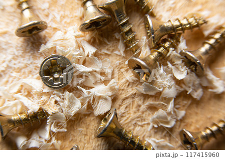 Close up wood threaded lag screw 117415960