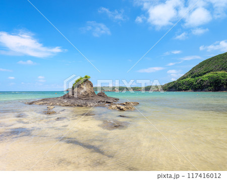 夏の長崎県対馬の三宇田浜の風景 117416012