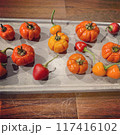 ハッピーハロウィントレイに並べたソラナムパンプキン 117416102