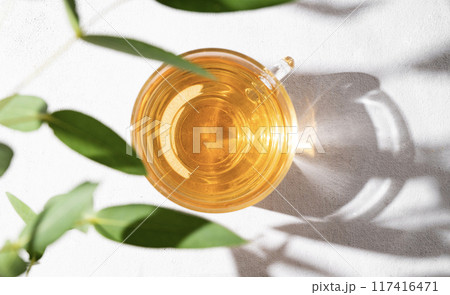 Fragrant herbal tea in a glass cup on a white background with eucalyptus branches and a hard shade. Fragrant herbal tea in a glass cup on a white background with eucalyptus branches and a hard shade. 117416471
