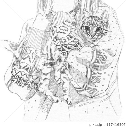 人に抱っこされる猫の鉛筆画 117416505