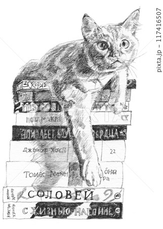 重ねた本の上に乗る猫の鉛筆画のイラスト素材 [117416507] - PIXTA