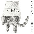 紙袋に入る猫の鉛筆画 117416508