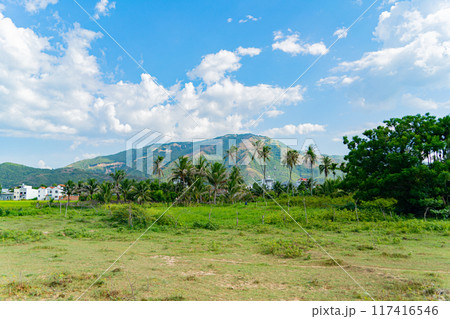 Vietnamese landscape. Vietnamese landscape. 117416546