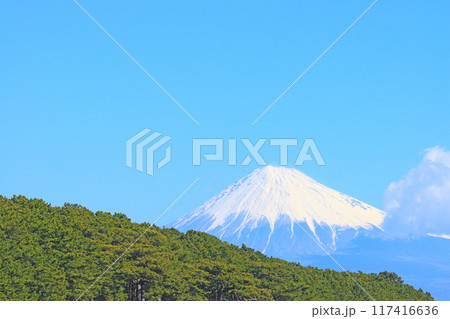 静岡県静岡市、三保の松原と富士山の風景 静岡県静岡市、三保の松原と富士山の風景 117416636