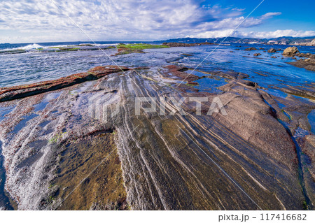 【静岡県】伊豆半島ジオパークの恵比須島・千畳敷 【静岡県】伊豆半島ジオパークの恵比須島・千畳敷 117416682