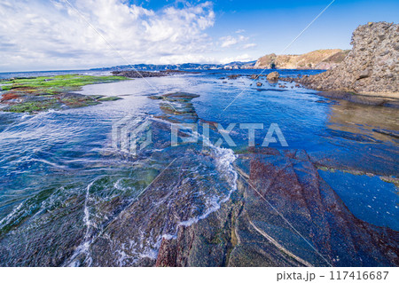 【静岡県】伊豆半島ジオパークの恵比須島・千畳敷 117416687