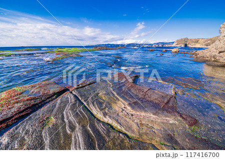 【静岡県】伊豆半島ジオパークの恵比須島・千畳敷 117416700