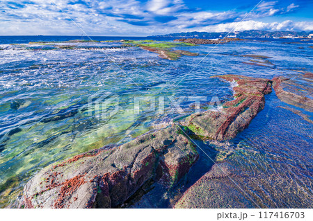 【静岡県】伊豆半島ジオパークの恵比須島・千畳敷 【静岡県】伊豆半島ジオパークの恵比須島・千畳敷 117416703