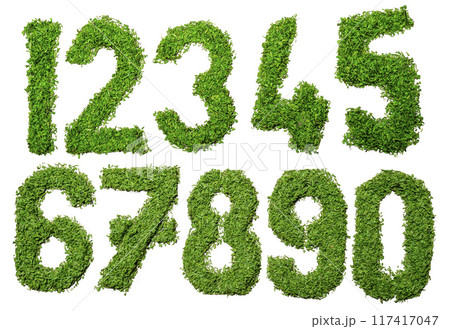 The numbers are written in a grassy font, giving the impression of a natural 117417047