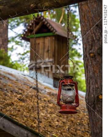 House in the forest 117418247