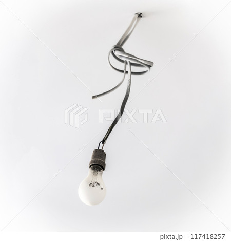 Light bulb on the wire 117418257