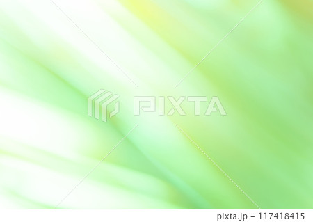 光と影・グリーン 背景素材 光と影・グリーン 背景素材 117418415
