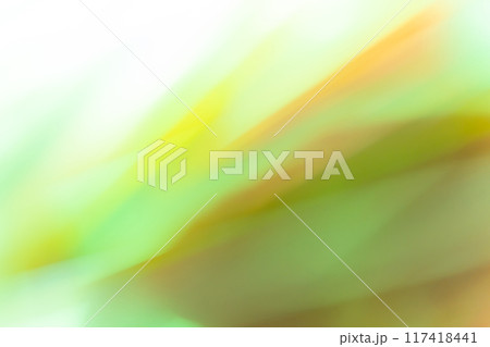 光と影・グリーン 背景素材 117418441