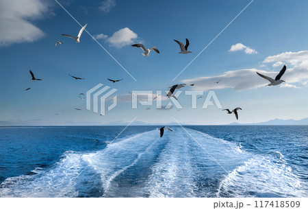 青い海上を飛ぶカモメの群れは旅立ちの合図 117418509