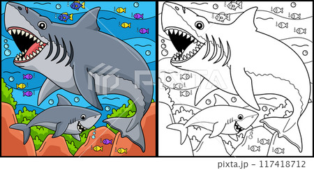 Megalodon Shark Coloring Page Colored Illustration 117418712