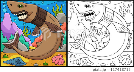 Cookiecutter Shark Coloring Page Illustration 117418715