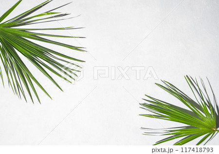 Branches of green palm leaves on a white background with hard shadow. Minimal style concept. Branches of green palm leaves on a white background with hard shadow. Minimal style concept. 117418793