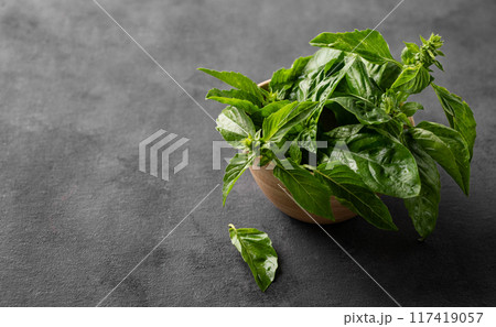 Fresh basil in a wooden bowl on a dark background close up. The concept of dietary and spicy herbs. Fresh basil in a wooden bowl on a dark background close up. The concept of dietary and spicy herbs. 117419057