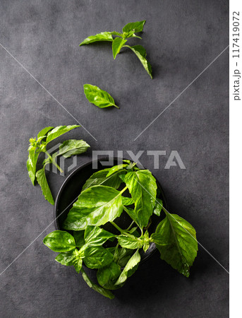 Fresh basil in a black bowl on a dark background. The concept of dietary and spicy herbs 117419072