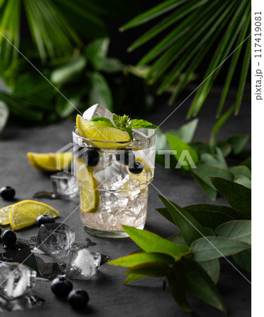 Mojito or lemonade with lime and blueberry, ice and mint in a glass on a dark background  117419081