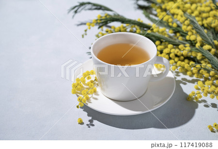 A spring bouquet with yellow mimosa flowers and a cup of herbal tea on a light background  117419088