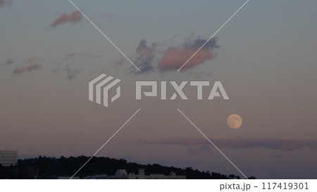 登り始めた満月 117419301